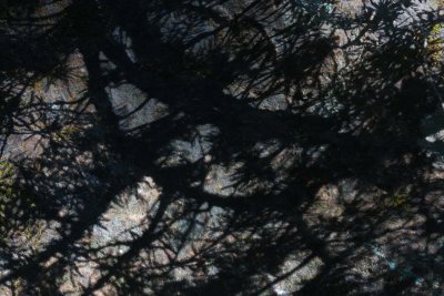 g1/98/902998/3/117277775.T9hQd4oA.jpg