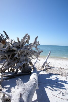 Cape Romano, Fl