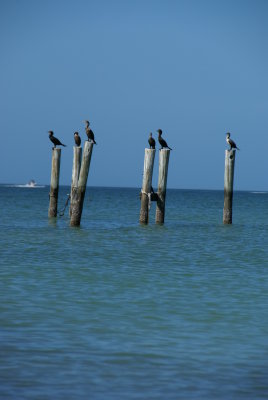 Cape Romano, Fl