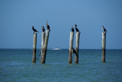 Cape Romano, Fl