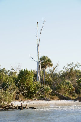 Naples, Florida