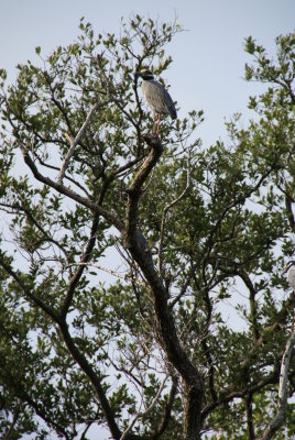 Naples, Florida