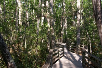 Corkscrew Swamp Sanctuary