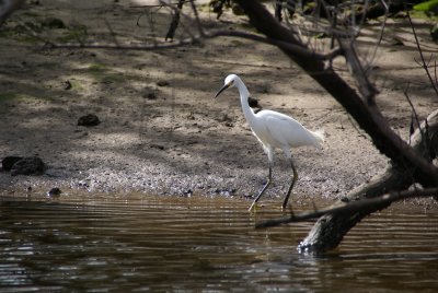 Naples, Florida