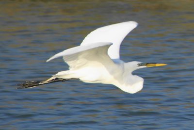 Naples, Florida