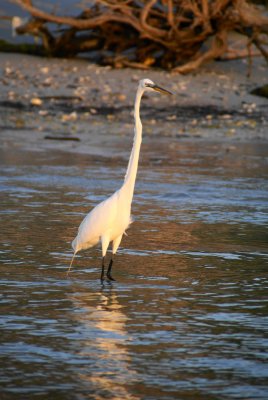 Naples, Florida