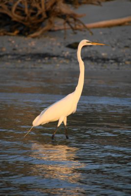 Naples, Florida