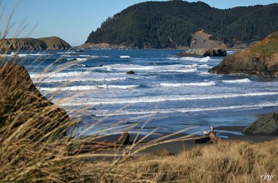 Meyers Creek Beach, Oregon