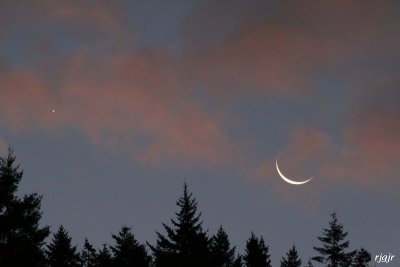 The Crescent  Moon and Venus