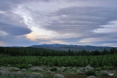 Almanor Mts. Susanville, CA