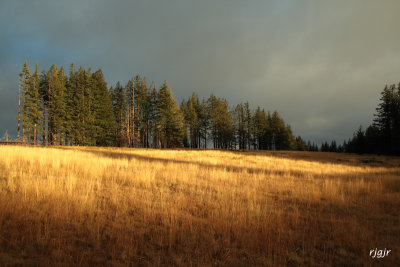 Wildhorse Meadow, Kalmiopsis Wilderness, OR