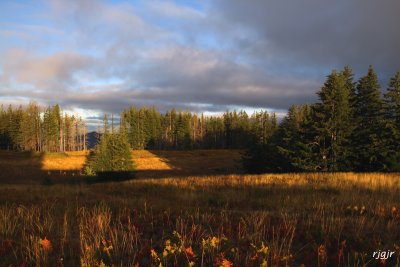 Wildhorse Meadow, Kalmiopsis Wilderness, OR