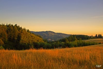 Langlois Mt., Coastal Range, OR