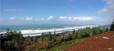 The Oregon Coastline from Thimbleberry