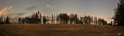 Wildhorse Meadow Sunset, Siskiyou National Forest, OR
