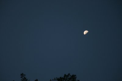Moon and Jupiter Conjunction