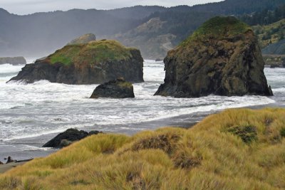 Meyers Creek Seastacks and Storm Surf