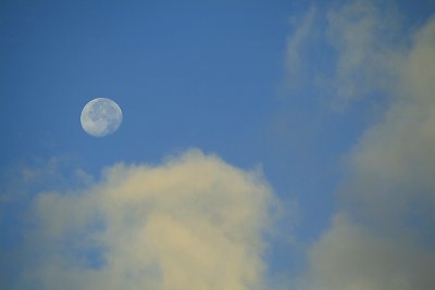 Moon in a morning sky