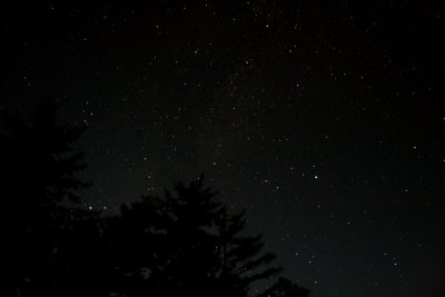 The Summer Triangle sets over trees