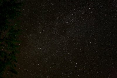 Milky Way Dust Lanes in  Constellation Cygnus