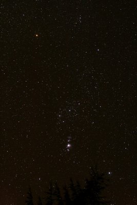 Constellation Orion with Beautiful M 42