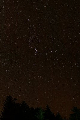 Constellation Orion on a cold Winter night