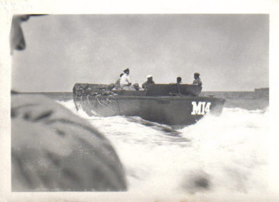 New Guinea Coast.jpg
