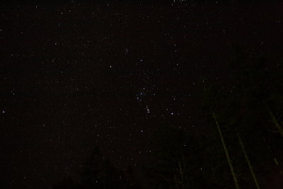 Orion on New Years Night