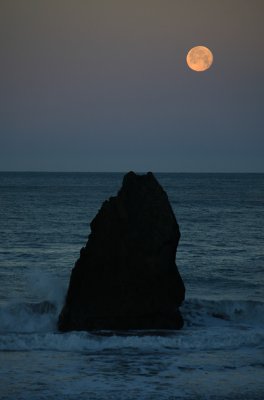 The Moon and Bird Rock