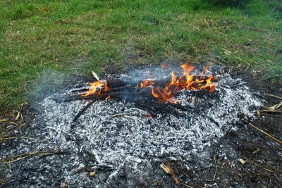 February 5 Burn Pile