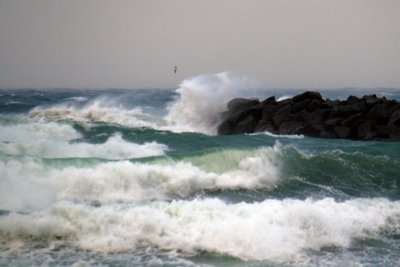 February 14  South Jetty