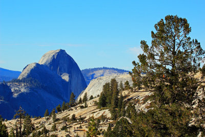 Reverse of Half Dome from Olmstead Point