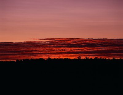 Magenta Sunrise