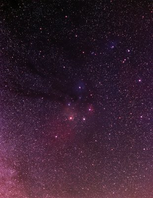 Rho-Ophiuchi