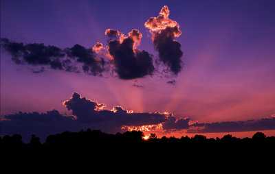 Crepuscular Rays