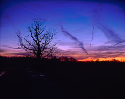 Venus with Sunset