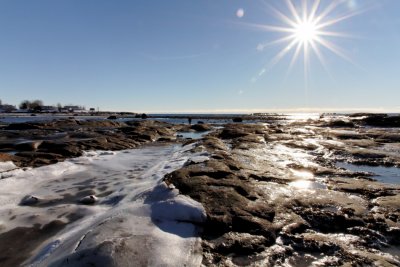 _MG_4854_3.jpg