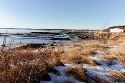_MG_4409_3.jpg