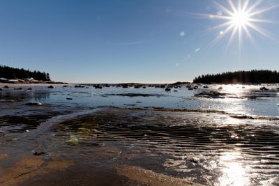 _MG_4933_3.jpg
