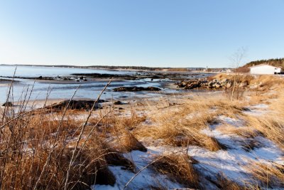 _MG_4409_3.jpg