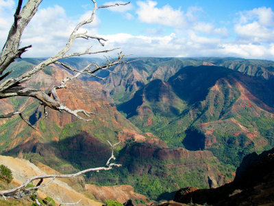 Grand Canyon of the Pacific