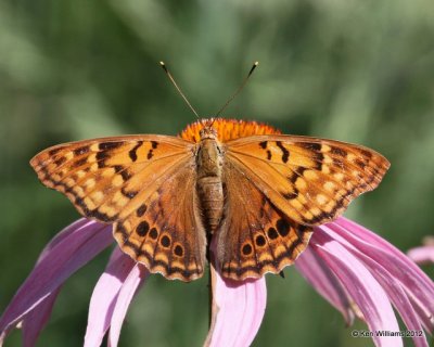 g1/98/983098/3/146492914.StkAjRYJ.jpg