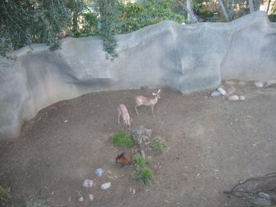 IMG_6005.jpg