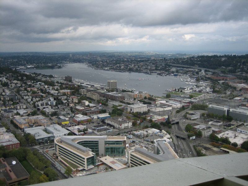 IMG_3295.jpg