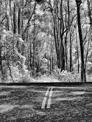 road-shot-upload.jpg