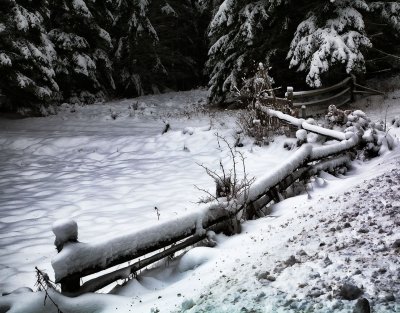 A_S_ONeillT_frozen-fencline.jpg