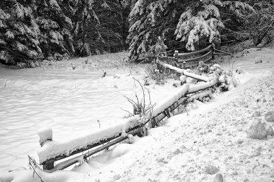frozen-fenceline-black-and-white.jpg