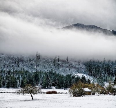 snowy-meadow-color-upload.jpg