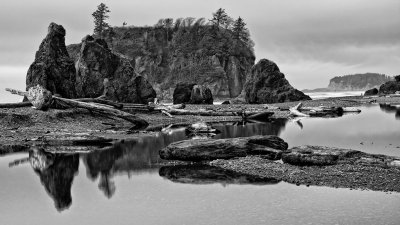 Ruby-across-the-stream-BW-upload.jpg