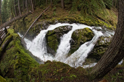 Sol-Duc-fishy-upload.jpg